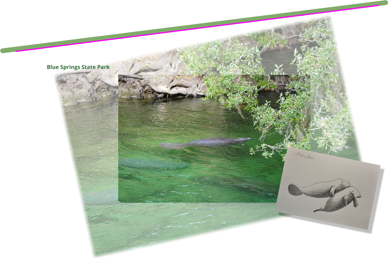 Blue Springs State Park