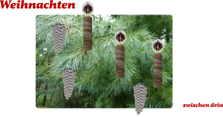 Weihnachten zwischen drin
