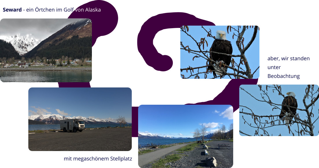 Seward - ein Örtchen im Golf von Alaska mit megaschönem Stellplatz aber, wir standen unter Beobachtung
