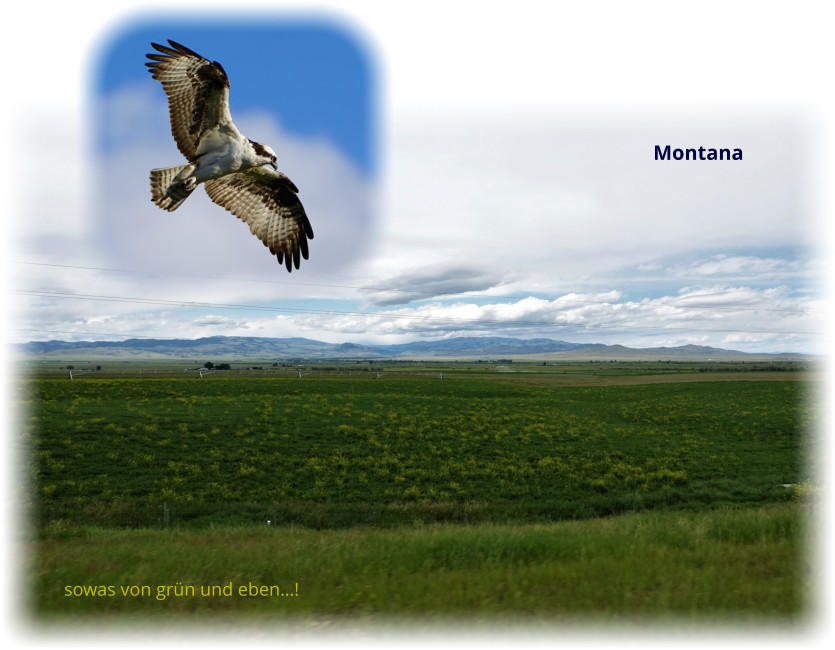 Montana sowas von grün und eben…!