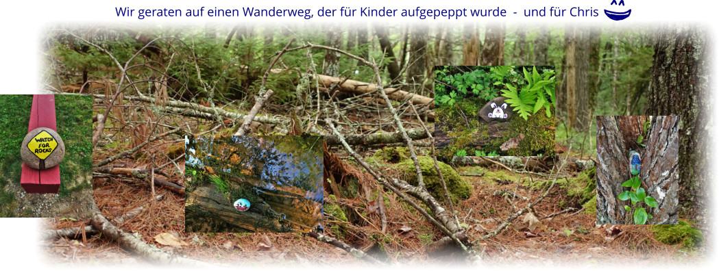 Wir geraten auf einen Wanderweg, der für Kinder aufgepeppt wurde  -  und für Chris