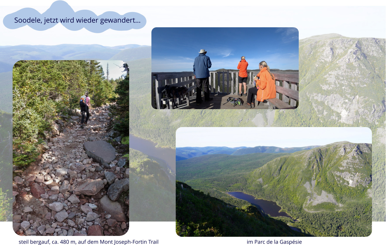 steil bergauf, ca. 480 m, auf dem Mont Joseph-Fortin Trail im Parc de la Gaspésie Soodele, jetzt wird wieder gewandert…