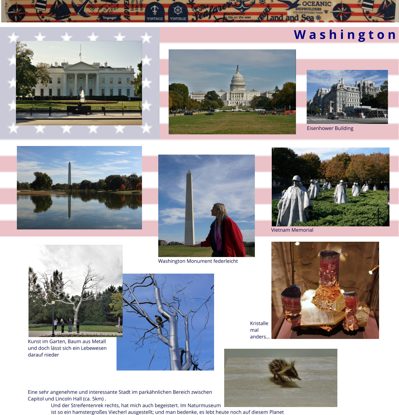 W a s h i n g t o n Eisenhower Building Washington Monument federleicht Vietnam Memorial Kunst im Garten, Baum aus Metall und doch lässt sich ein Lebewesen  darauf nieder Eine sehr angenehme und interessante Stadt im parkähnlichen Bereich zwischen  Capitol und Lincoln Hall (ca. 5km) . Und der Streifentenrek rechts, hat mich auch begeistert. Im Naturmuseum  ist so ein hamstergroßes Viecherl ausgestellt; und man bedenke, es lebt heute noch auf diesem Planet Kristalle mal  anders…