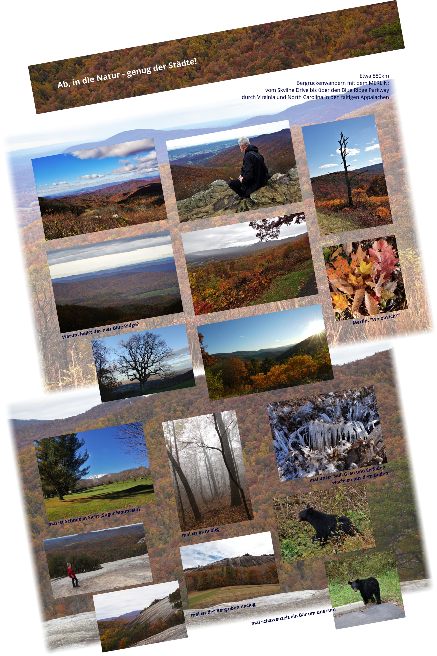 Etwa 880km  Bergrückenwandern mit dem MERLIN;  vom Skyline Drive bis über den Blue Ridge Parkway durch Virginia und North Carolina in den faltigen Appalachen  Merlin: “Wo bin ich?“ Warum heißt das hier Blue Ridge? mal ist es neblig mal unter Null Grad und Eisfäden wachsen aus dem Boden mal schawenzelt ein Bär um uns rum mal ist der Berg oben nackig mal ist Schnee in Sicht (Sugar Mountain)  Ab, in die Natur - genug der Städte!