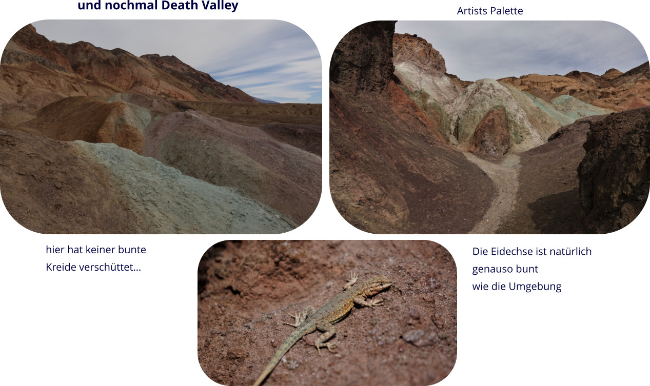und nochmal Death Valley Artists Palette Die Eidechse ist natürlich  genauso bunt  wie die Umgebung hier hat keiner bunte  Kreide verschüttet…