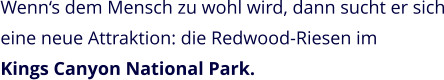 Wenn‘s dem Mensch zu wohl wird, dann sucht er sich eine neue Attraktion: die Redwood-Riesen im  Kings Canyon National Park.