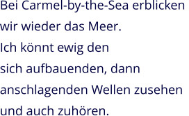 Bei Carmel-by-the-Sea erblicken  wir wieder das Meer. Ich könnt ewig den  sich aufbauenden, dann anschlagenden Wellen zusehen und auch zuhören.