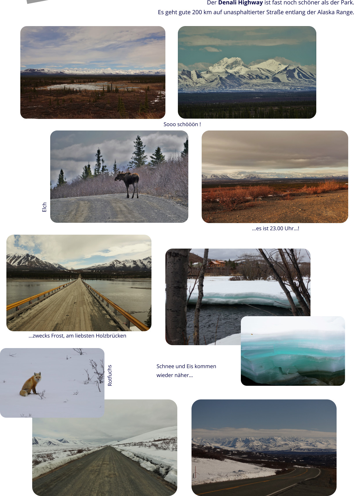 Der Denali Highway ist fast noch schöner als der Park. Es geht gute 200 km auf unasphaltierter Straße entlang der Alaska Range. Elch Rotfuchs …zwecks Frost, am liebsten Holzbrücken Schnee und Eis kommen wieder näher… …es ist 23.00 Uhr…! Sooo schööön !