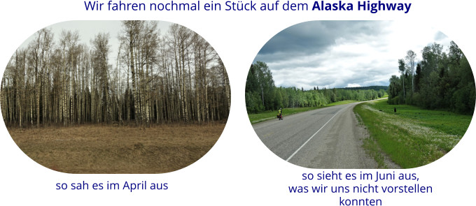 Wir fahren nochmal ein Stück auf dem Alaska Highway so sah es im April aus so sieht es im Juni aus, was wir uns nicht vorstellen konnten