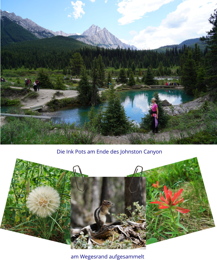 Die Ink Pots am Ende des Johnston Canyon am Wegesrand aufgesammelt