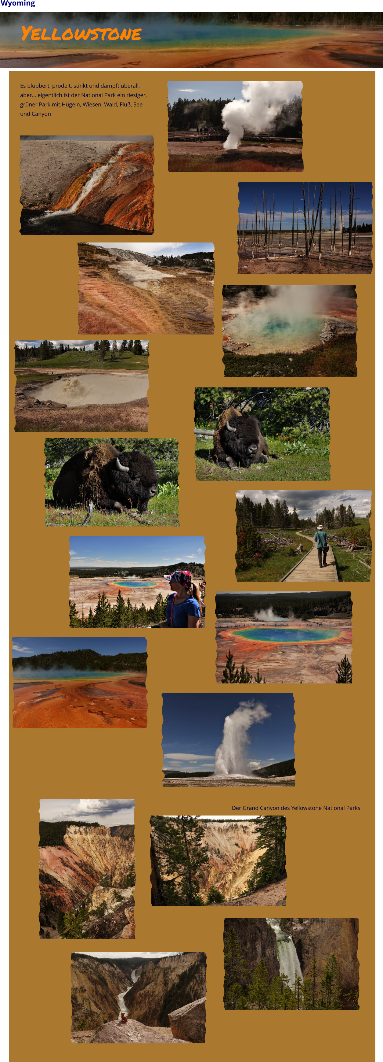 Wyoming Yellowstone Es blubbert, prodelt, stinkt und dampft überall, aber… eigentlich ist der National Park ein riesiger, grüner Park mit Hügeln, Wiesen, Wald, Fluß, See und Canyon Der Grand Canyon des Yellowstone National Parks